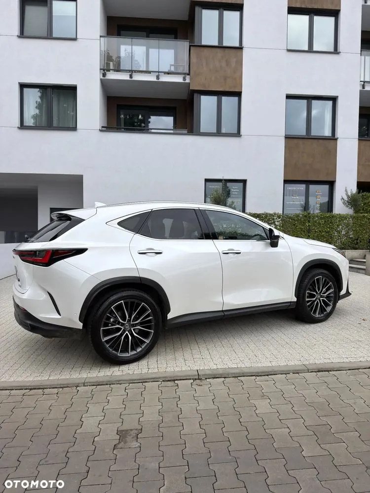 Lexus Nx 2024 photo 5