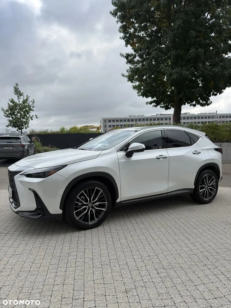 Lexus Nx 2024 photo 2