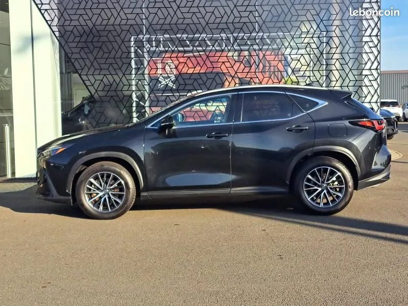 Lexus Nx 2024 photo 3