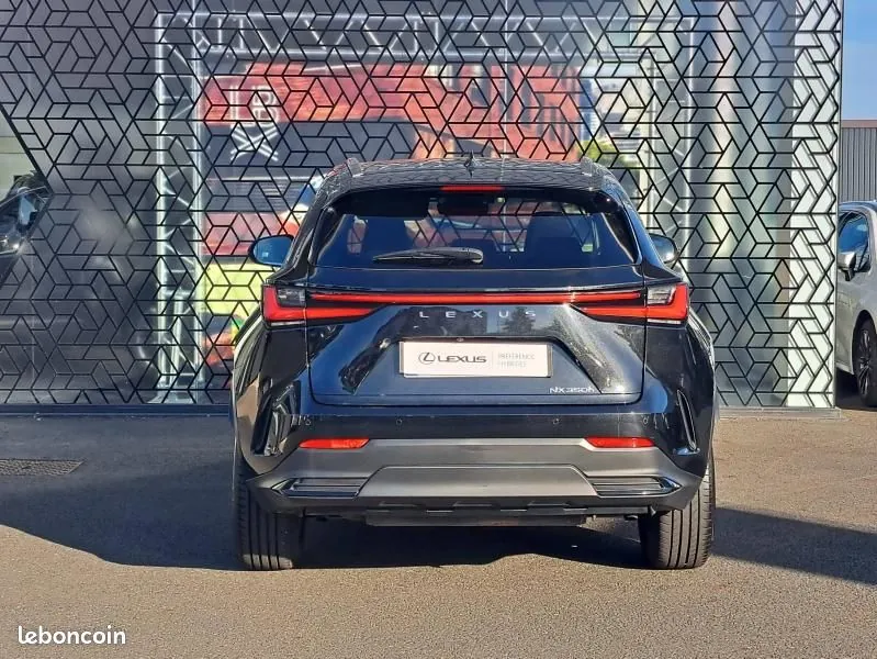 Lexus Nx 2024 photo 5