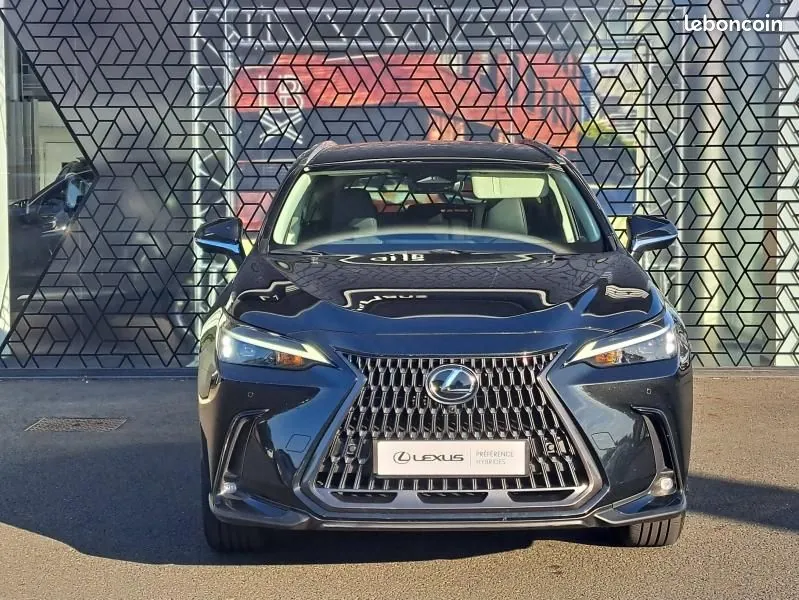 Lexus Nx 2024 photo 2