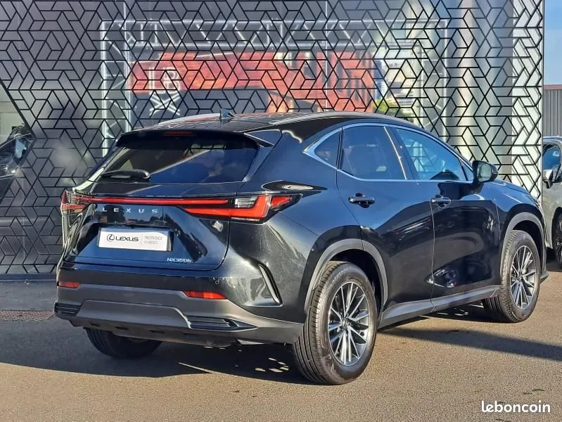 Lexus Nx 2024 photo 4