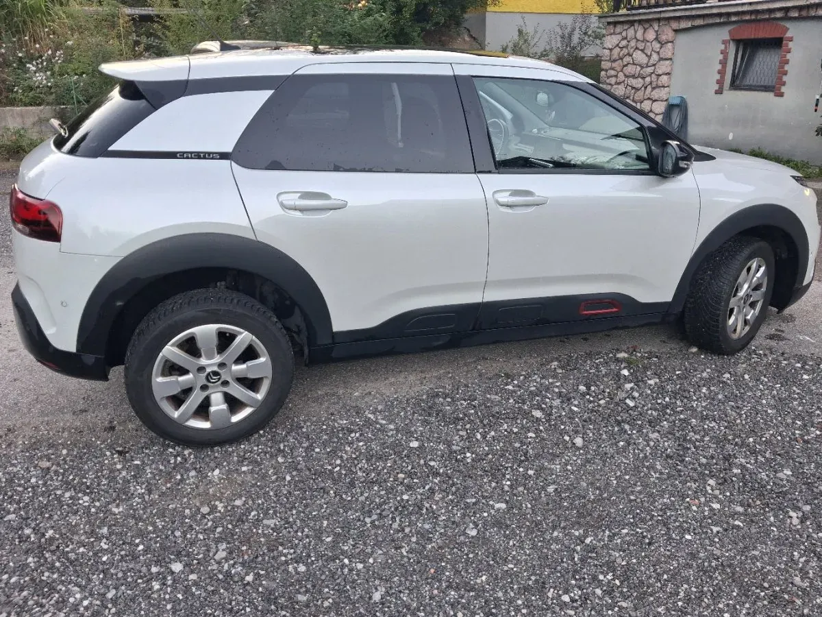 Citroen C4 Cactus 2018 photo 2