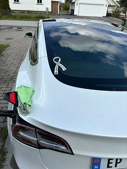 Tesla Model 3 2019 photo 2