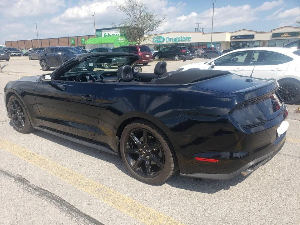 Ford Mustang 2019 photo 2