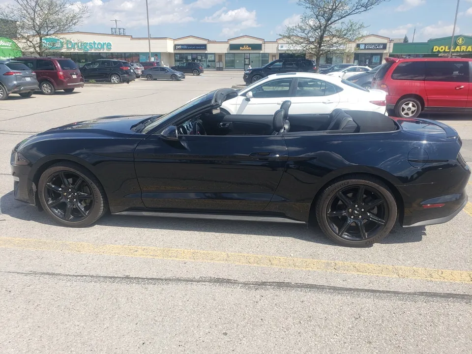 Ford Mustang 2019 photo 5