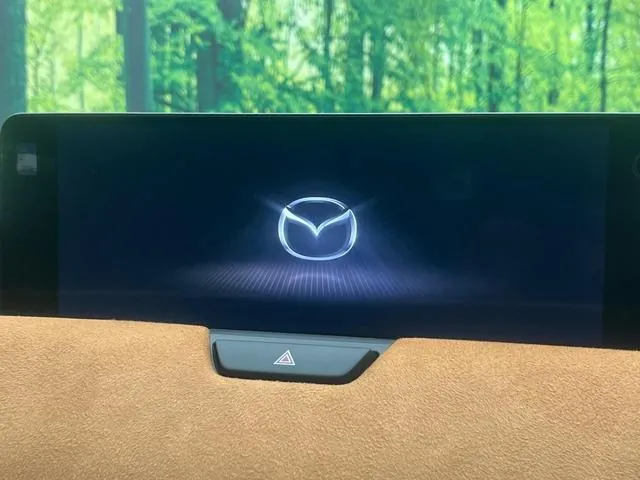 Mazda Cx-60 2023 photo 4