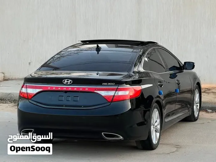 Hyundai Azera 2010 photo 5