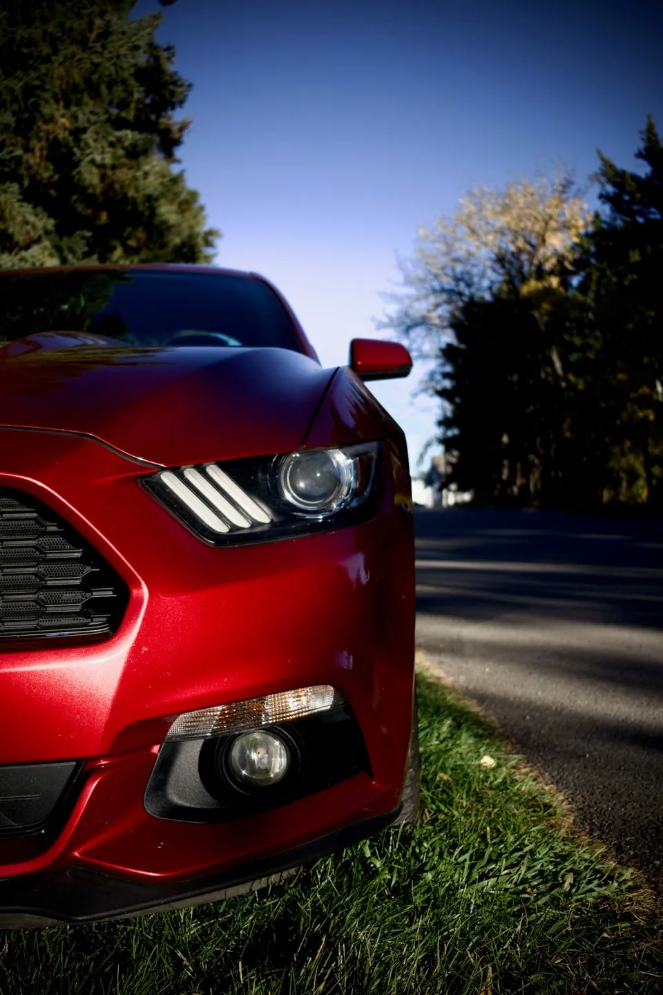 Ford Mustang 2015 photo 2