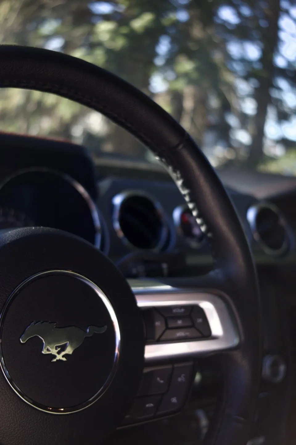 Ford Mustang 2015 photo 5