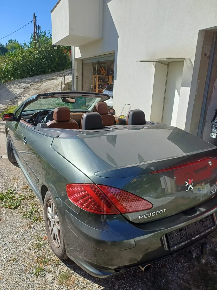 Peugeot 307 Cc 2004 photo 3