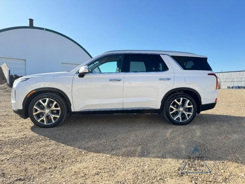 Hyundai Palisade 2021 photo 3