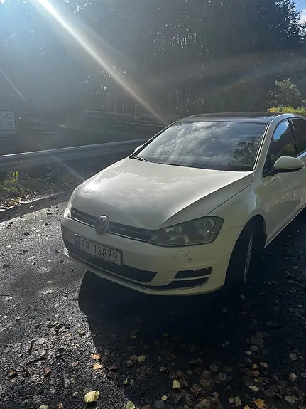 Volkswagen Golf Vii 2013 photo 2