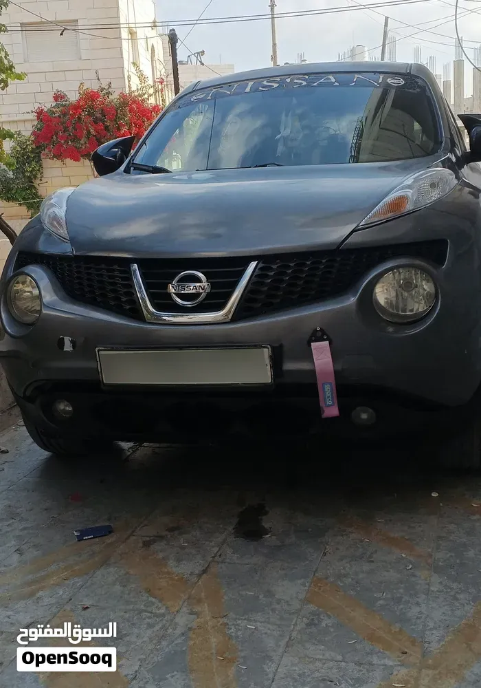 Nissan Juke 2011 photo 2