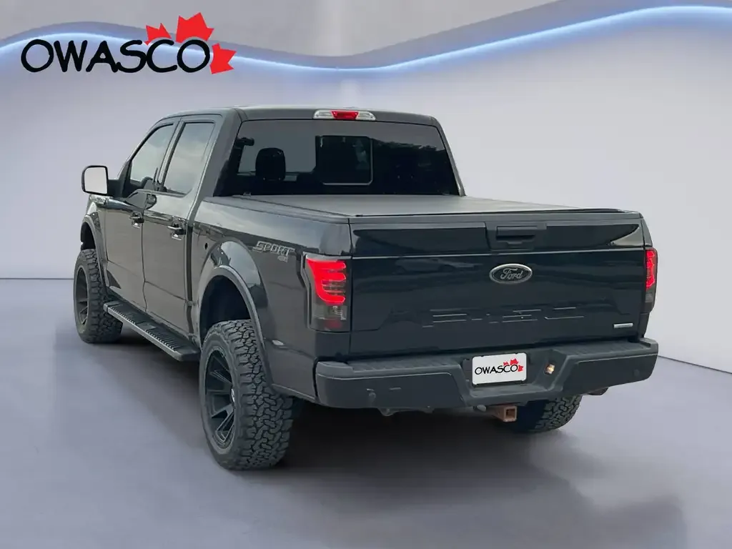 Ford F-150 2019 photo 4