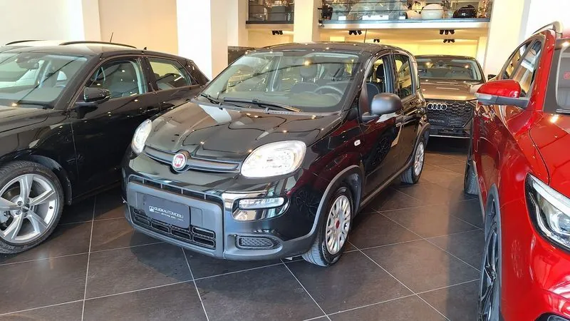 Fiat Panda 2023 photo 2