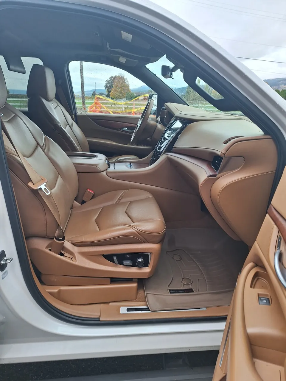 Cadillac Escalade 2017 photo 3
