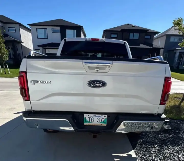 Ford F-150 2016 photo 3