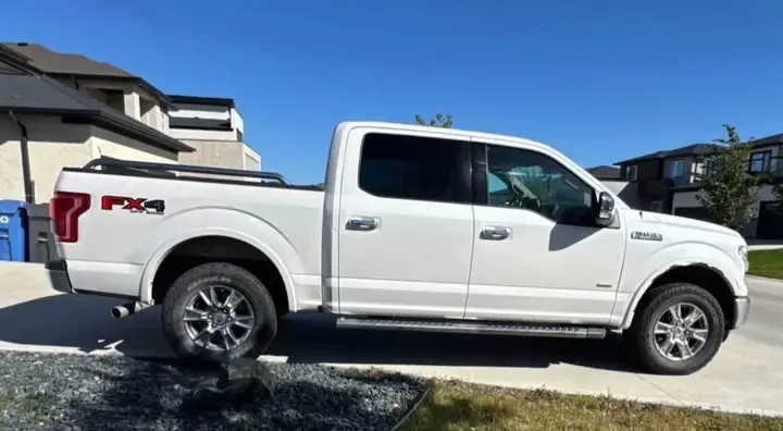 Ford F-150 2016 photo 2
