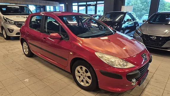 Peugeot 307 2005 photo 3