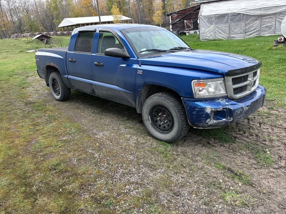 Dodge Dakota 2009 photo 2