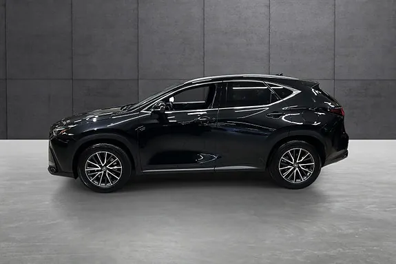 Lexus Nx450H+ 2023 photo 2