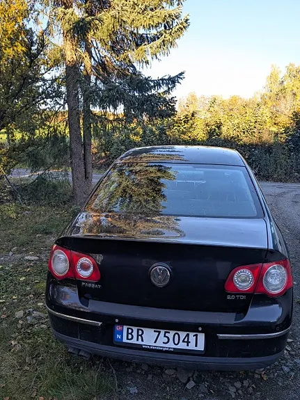 Volkswagen Passat 2009 photo 4
