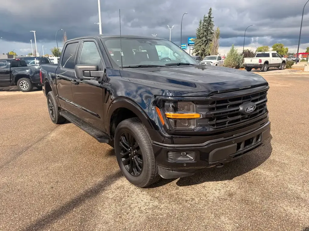 Ford F-150 2024 photo 3