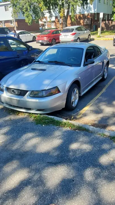 Ford Mustang 2000 photo 2
