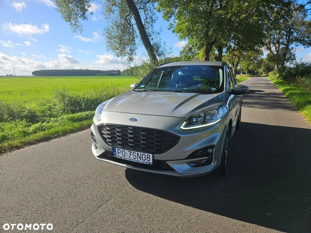 Ford Kuga 2020 photo 3