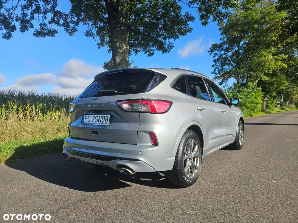 Ford Kuga 2020 photo 2