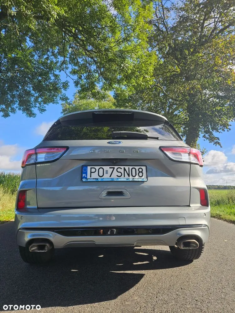 Ford Kuga 2020 photo 4