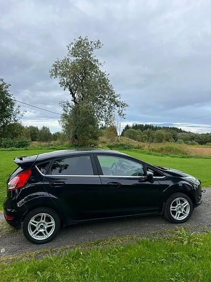 Ford Fiesta 2014 photo 4