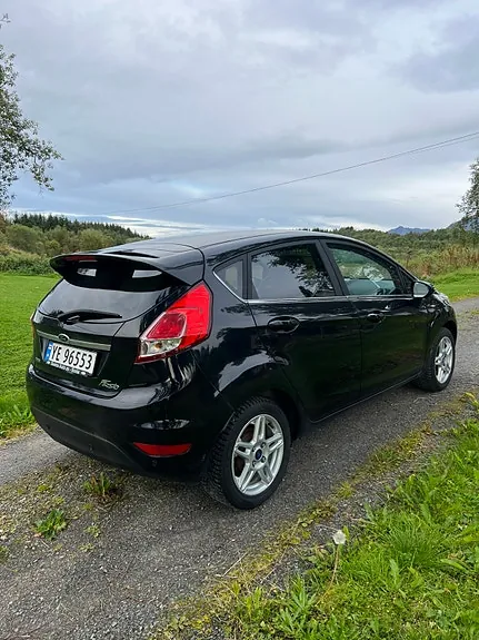 Ford Fiesta 2014 photo 3