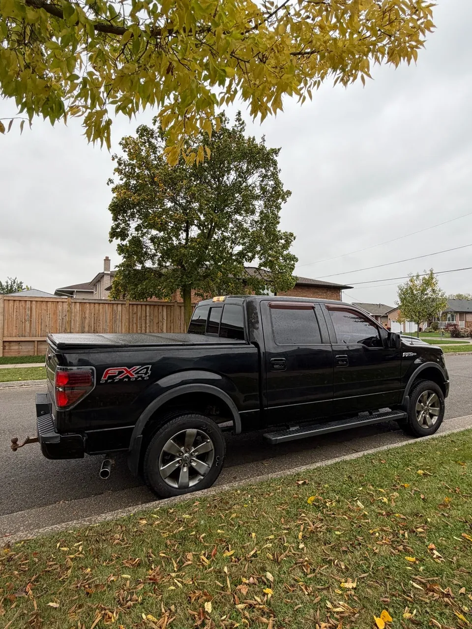 Ford F-150 2012 photo 3