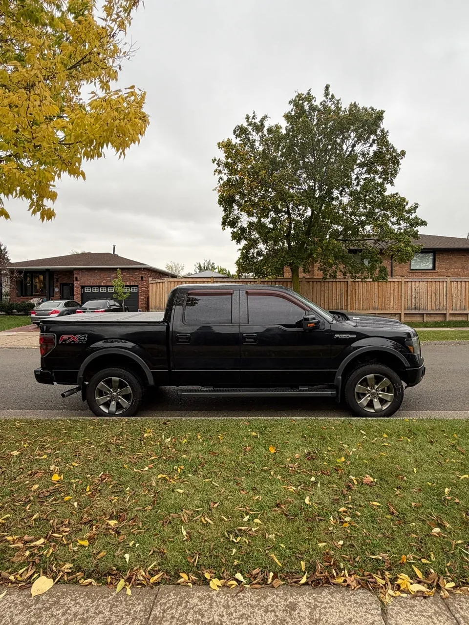 Ford F-150 2012 photo 4