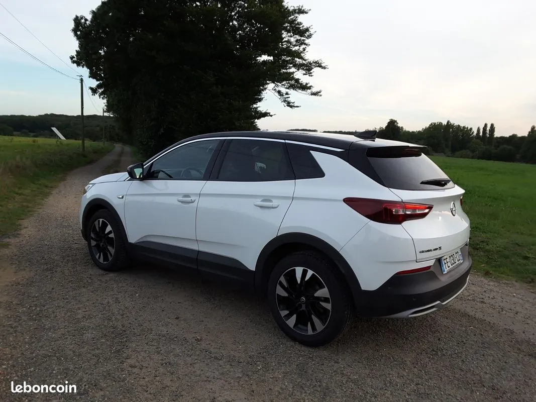 Opel Grandland X 2019 photo 5