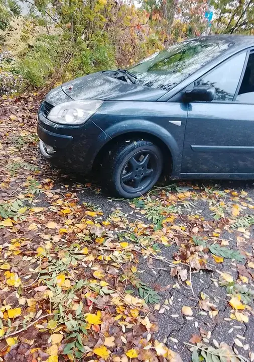 Renault Megane Scenic