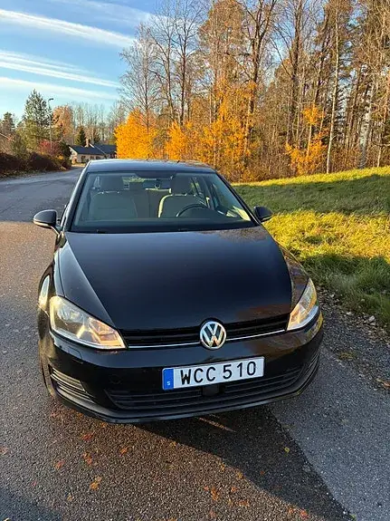 Volkswagen Golf 7 2016 photo 3