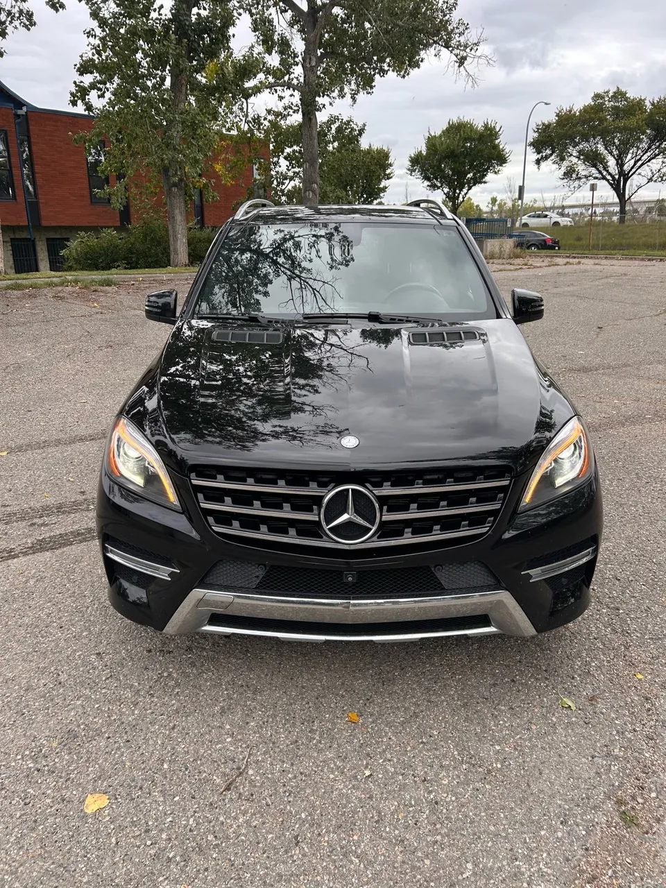Mercedes-Benz Ml Class 2015 photo 2