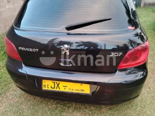 Peugeot 307 2001 photo 4
