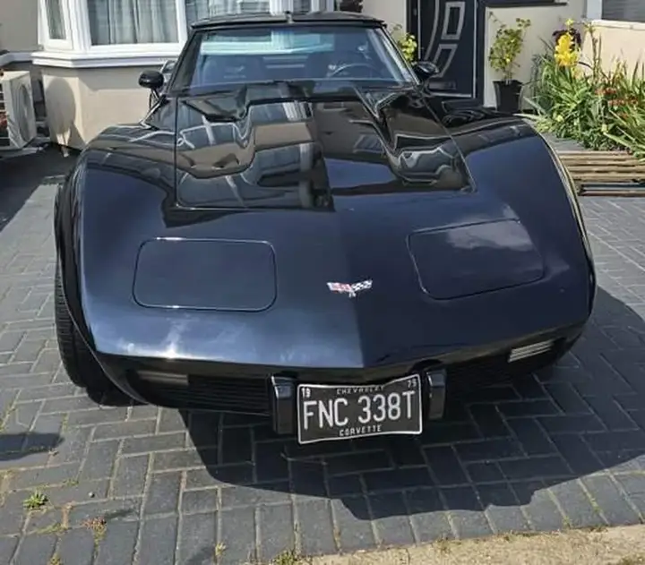 Chevrolet Corvette Stingray 1979 photo 5