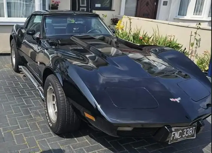 Chevrolet Corvette Stingray 1979 photo 2