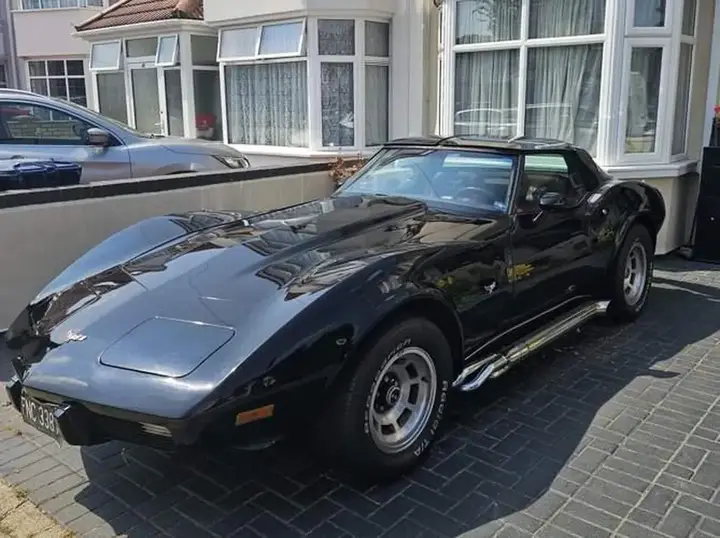 Chevrolet Corvette Stingray 1979 photo 3