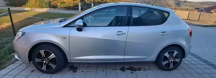 Seat Ibiza 2012 photo 2