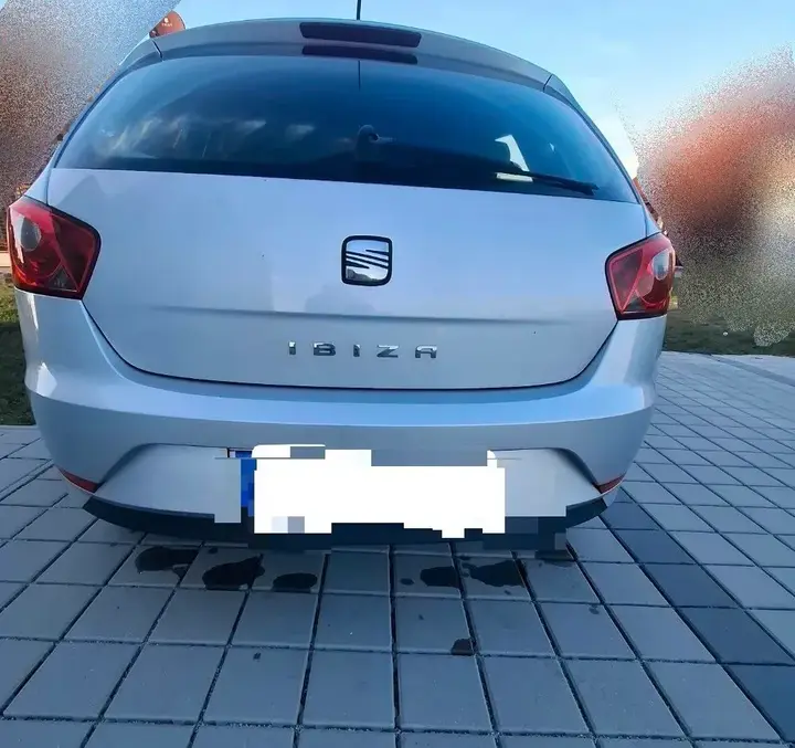 Seat Ibiza 2012 photo 3