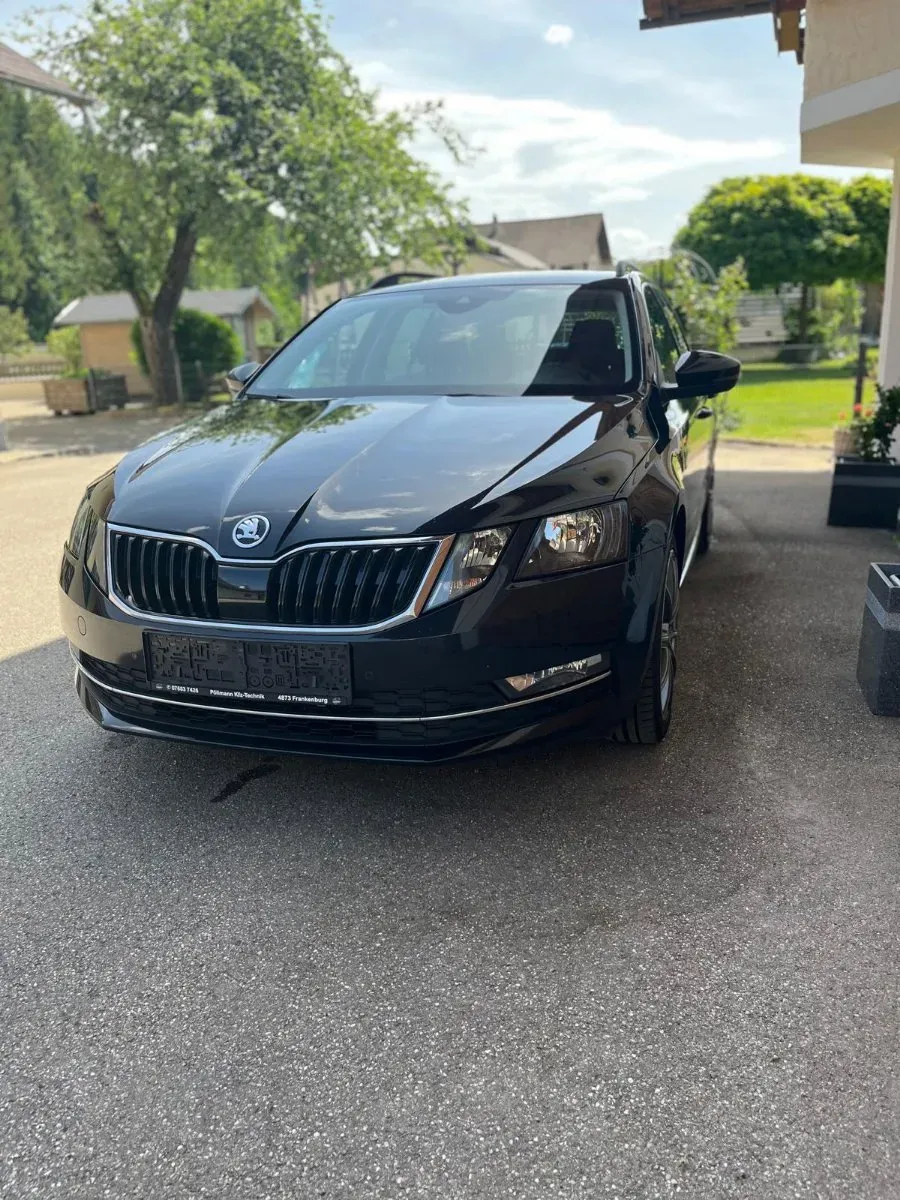 Skoda Octavia 2019 photo 2