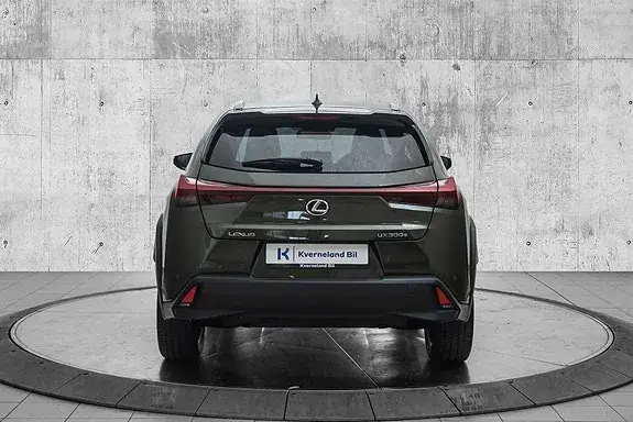 Lexus Ux300E 2026 photo 4