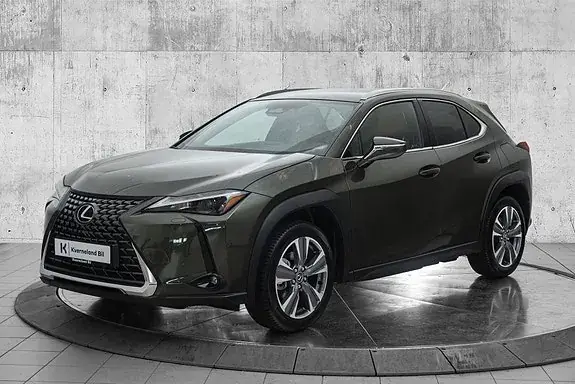 Lexus Ux300E