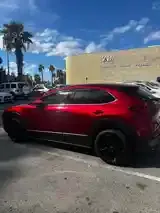 Mazda Cx-30 2021 photo 5